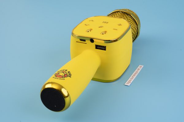 Мікрофон-караоке дитячий DUCKKIDS, Bluetooth